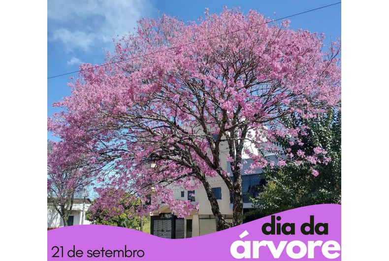 Gallery big 63380175de05a19f49d17e45546da921