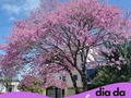 Gallery small 63380175de05a19f49d17e45546da921