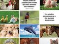 Gallery small 7376261a15345a21ede88b4a921b8db1