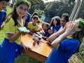 Gallery small d82a27871b597921c4842338bf759c21